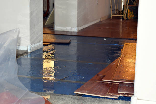 Professional Basement Flood Cleanup technician working in Fenelton, PA